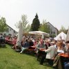 Maibaum 2013